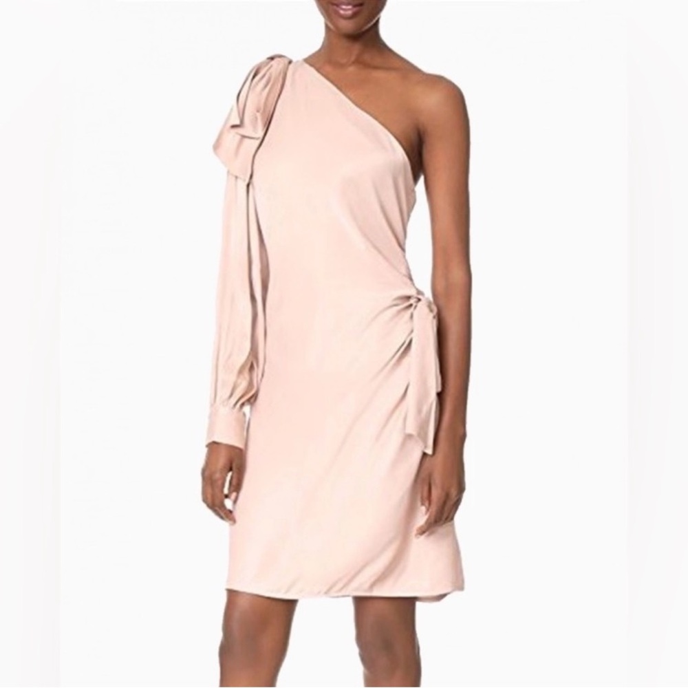 Zimmermann One-Shoulder Blush Dress with Draped Sleeve-NWT